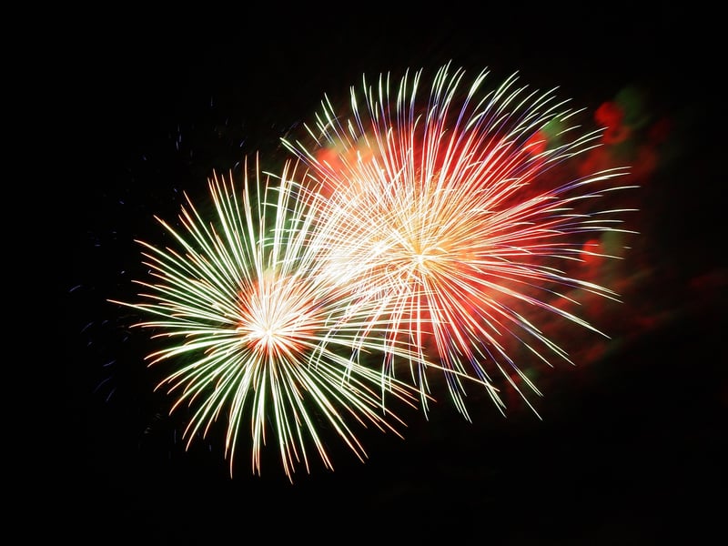 Firefly Light Show